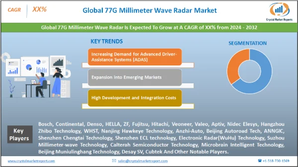 77G Millimeter Wave Radar Market